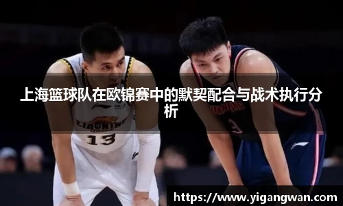 上海篮球队在欧锦赛中的默契配合与战术执行分析